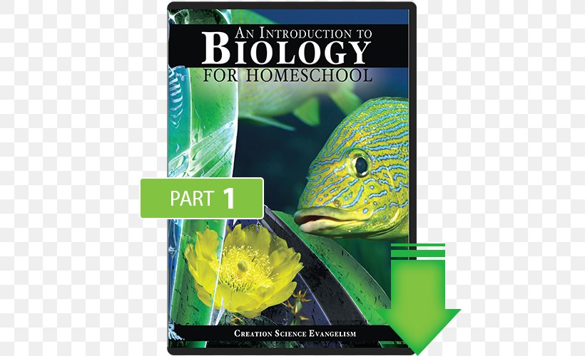 Aquariums Ecosystem Fauna Organism Tropical Fish, PNG, 500x500px, Aquariums, Advertising, Aquarium, Biology, Brand Download Free
