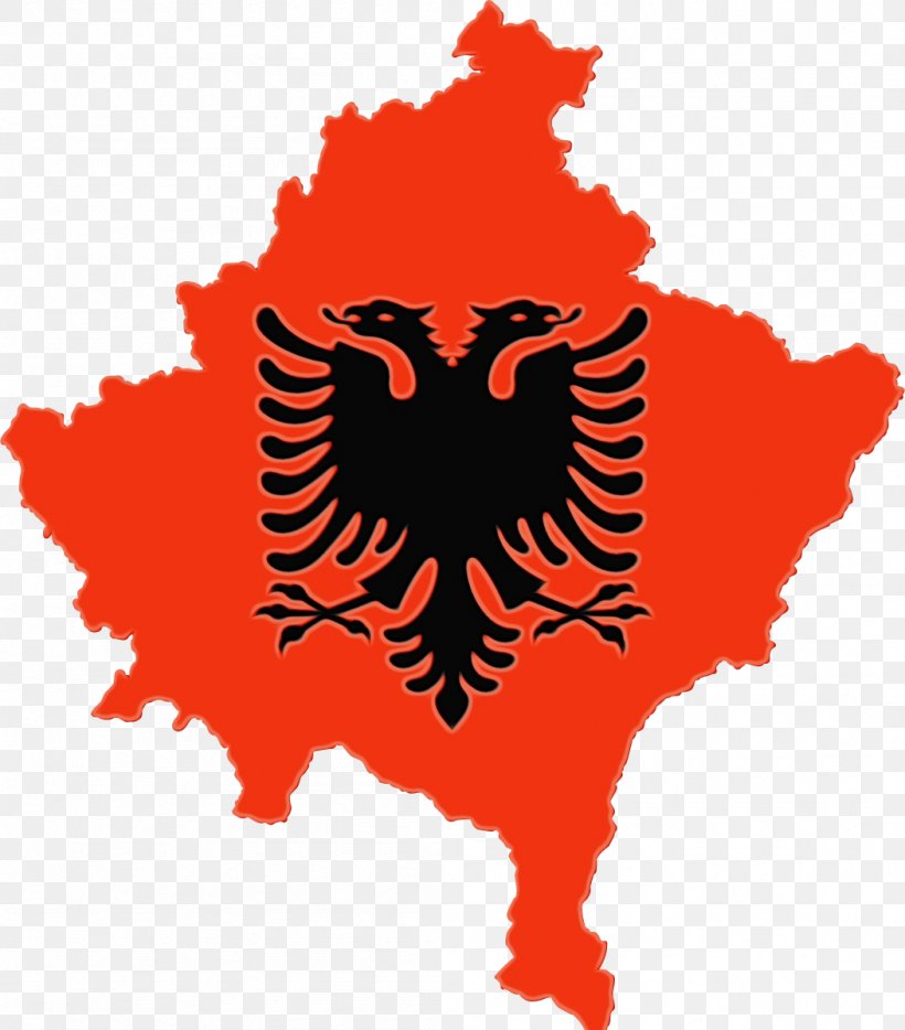 Eagle Logo, PNG, 1051x1198px, Albania, Coat Of Arms Of Kosovo, Doubleheaded Eagle, Eagle, Emblem Download Free