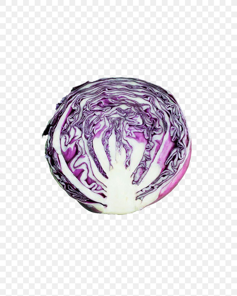 Red Cabbage Purple Vegetable Food, PNG, 683x1024px, Red Cabbage, Brassica Oleracea, Cabbage, Food, Gratis Download Free