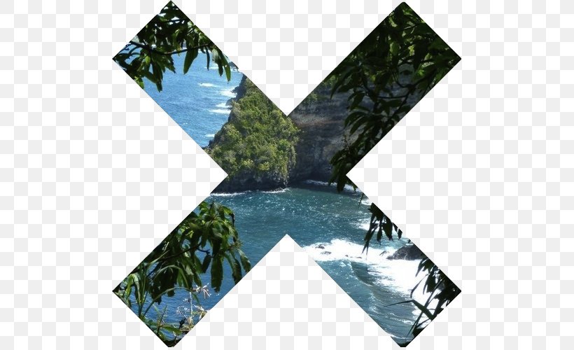 Tropics Photography The Xx Tropical Rainforest, PNG, 500x500px, Tropics, Information, Photographic Paper, Photography, Soft Grunge Download Free