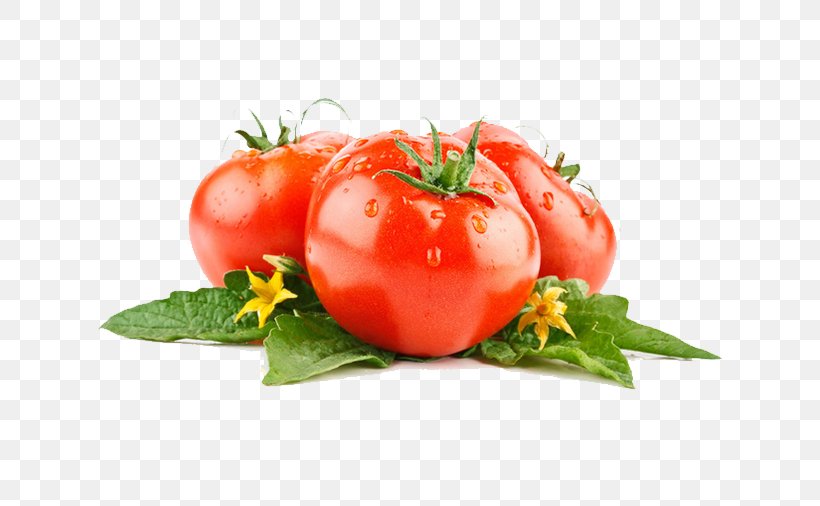 Vegetable Tomato Lettuce Fruit Food, PNG, 658x506px, Vegetable, Bush Tomato, Diet Food, Drop, Food Download Free