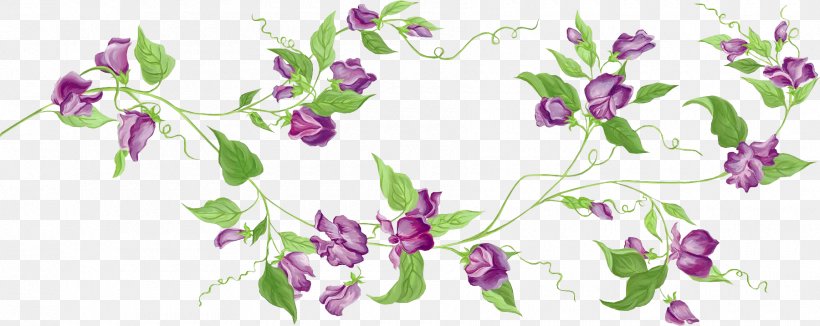 Cut Flowers Floral Design Lavender Clip Art, PNG, 1800x716px, Flower, Blossom, Branch, Color, Cut Flowers Download Free
