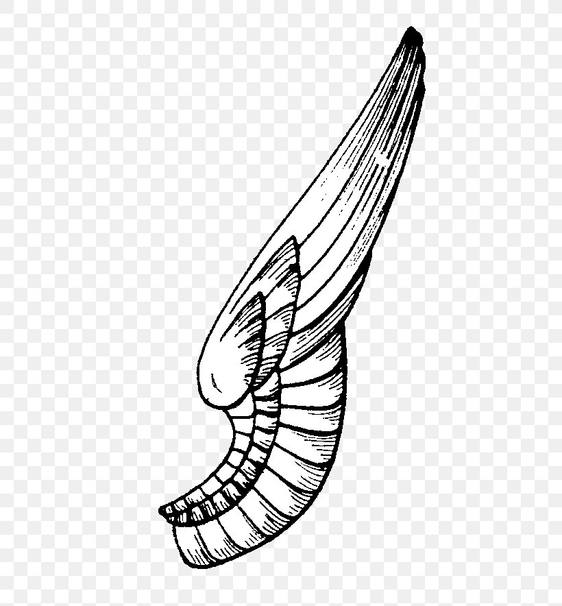 Drawing Butterfly Line Art, PNG, 488x884px, Wing, Area, Art, Art Museum, Artwork Download Free