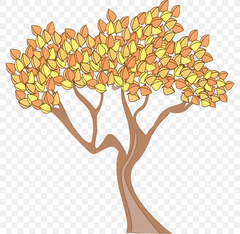Plane, PNG, 800x800px, Tree, Autumn, Cut Flowers, Flower, Leaf Download Free