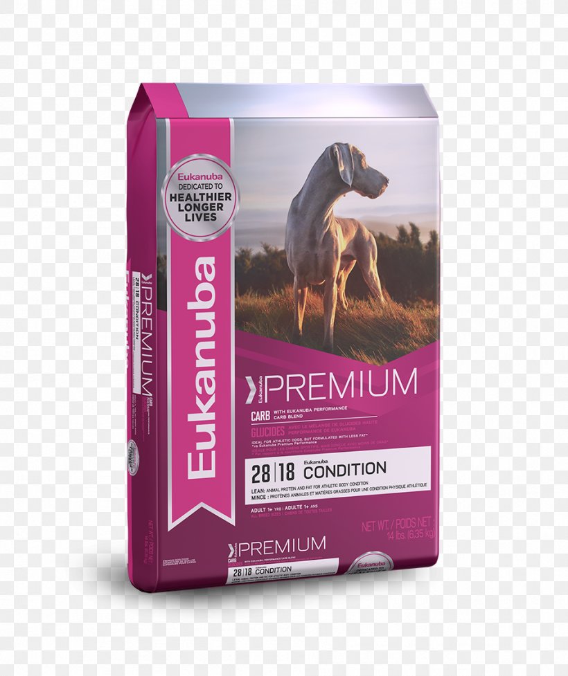 Cat Food Puppy Chihuahua Greyhound Eukanuba, PNG, 946x1128px, Cat Food, Chewy, Chihuahua, Dog, Dog Agility Download Free