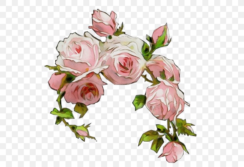 Garden Roses, PNG, 529x560px, Watercolor, Cut Flowers, Flower, Garden Roses, Hybrid Tea Rose Download Free