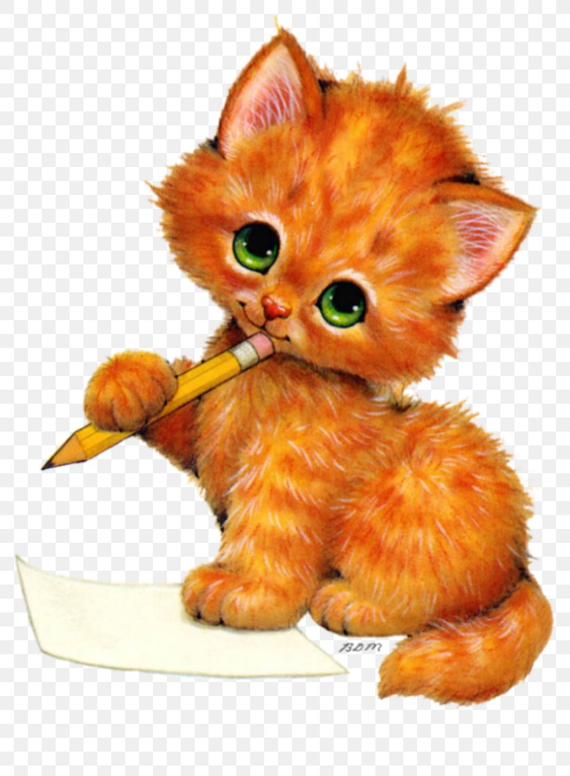 Kittens And Kittens Cat Clip Art, PNG, 800x1115px, Kitten, Carnivoran, Cat, Cat Like Mammal, Claw Download Free