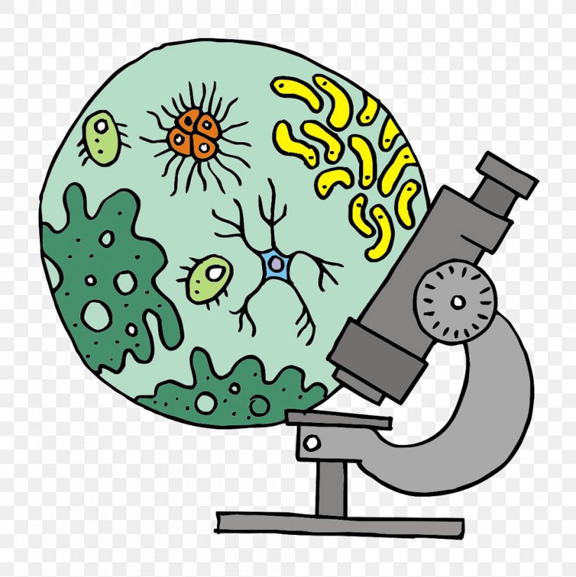 Microscope Cartoon, PNG, 998x1000px, Biology, Ap Biology, Art, Bacteria,  Biological Classification Download Free
