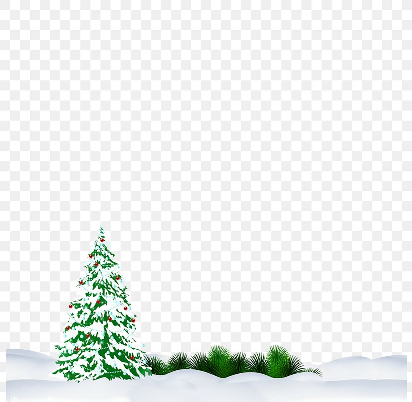 Snow Christmas Tree, PNG, 800x800px, Christmas Tree, Christmas, Christmas Decoration, Conifer, Evergreen Download Free