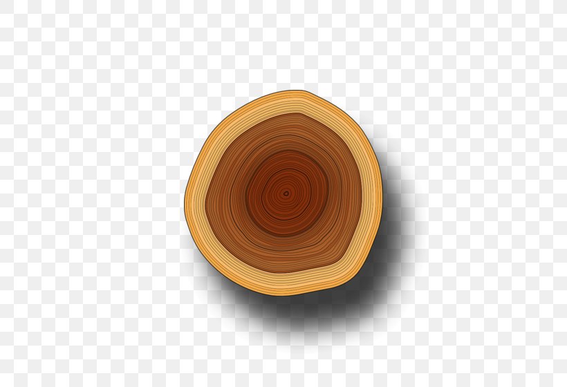 Wood Bowl Plate Tableware, PNG, 560x560px, Wood, Bowl, Cup, Dinnerware Set, Dishware Download Free