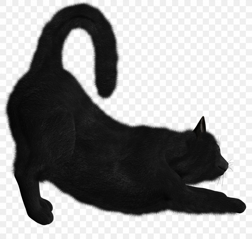 Black Cat Kitten Clip Art, PNG, 1600x1520px, Cat, Black, Black And White, Black Cat, Bombay Download Free