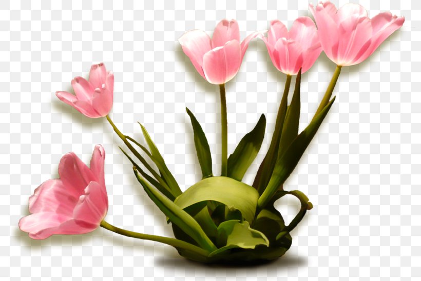 Blog, PNG, 800x548px, Blog, Artificial Flower, Chart, Cut Flowers, Floristry Download Free