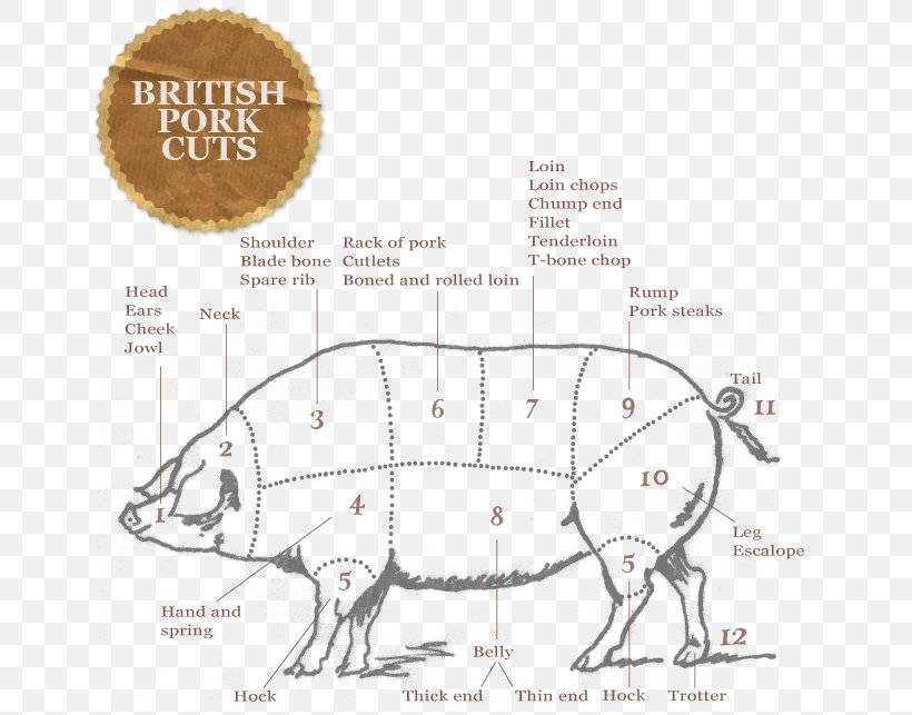 Domestic Pig Barbecue Cut Of Pork Cut Of Beef Meat, PNG, 660x643px, Domestic Pig, Area, Art, Bacon, Barbecue Download Free