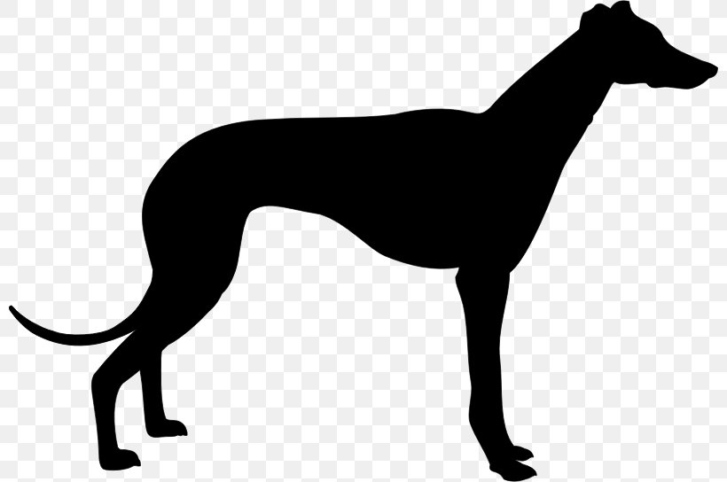 Italian Greyhound Whippet Greyhound Lines Clip Art, PNG, 800x544px, Greyhound, Animal Sports, Black And White, Carnivoran, Dog Download Free