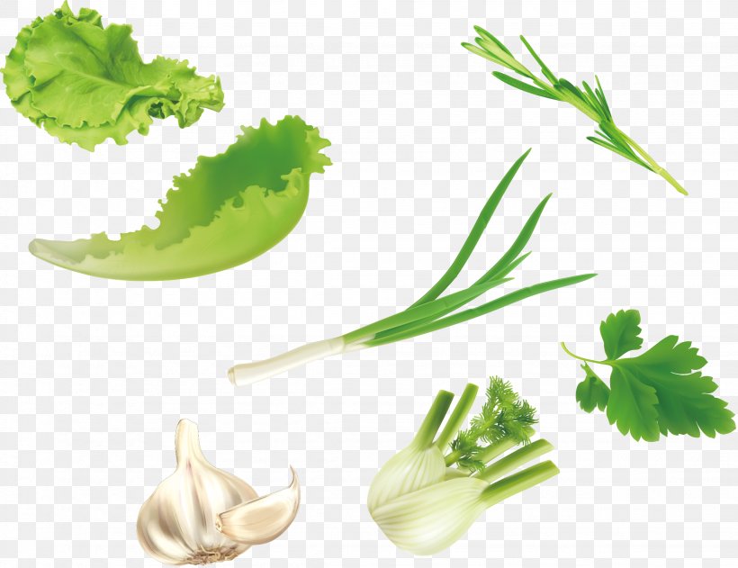 Leaf Vegetable U7dd1u9ec4u8272u91ceu83dc Salad, PNG, 2258x1740px, Leaf Vegetable, Alternative Medicine, Bitter Melon, Broccoli, Commodity Download Free