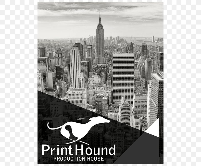 Lezhnev Law, PLLC Business PrintHound Production House | Banners, Signs & Printing Services Information, PNG, 800x678px, Business, Adidas, Advertising, Black And White, Brand Download Free