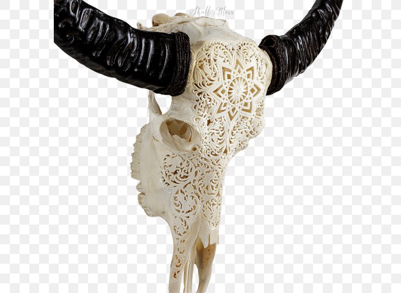 Mandala Skull The World Within Our Minds Cattle XL Horns, PNG, 600x600px, Mandala, Bone, Buffalo, Cattle, Divinity Download Free