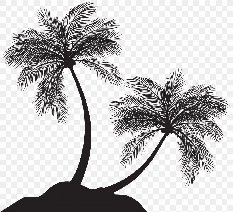 Arecaceae Tree Silhouette, PNG, 8000x7261px, Arecaceae, Arecales, Black And White, Borassus Flabellifer, Branch Download Free