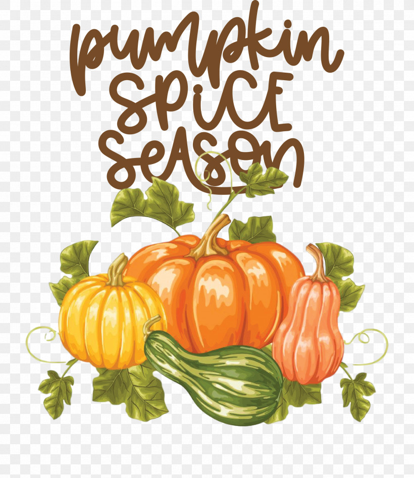 Autumn Pumpkin Spice Season Pumpkin, PNG, 2595x3000px, Autumn, Cooking, Drawing, Pumpkin, Royaltyfree Download Free