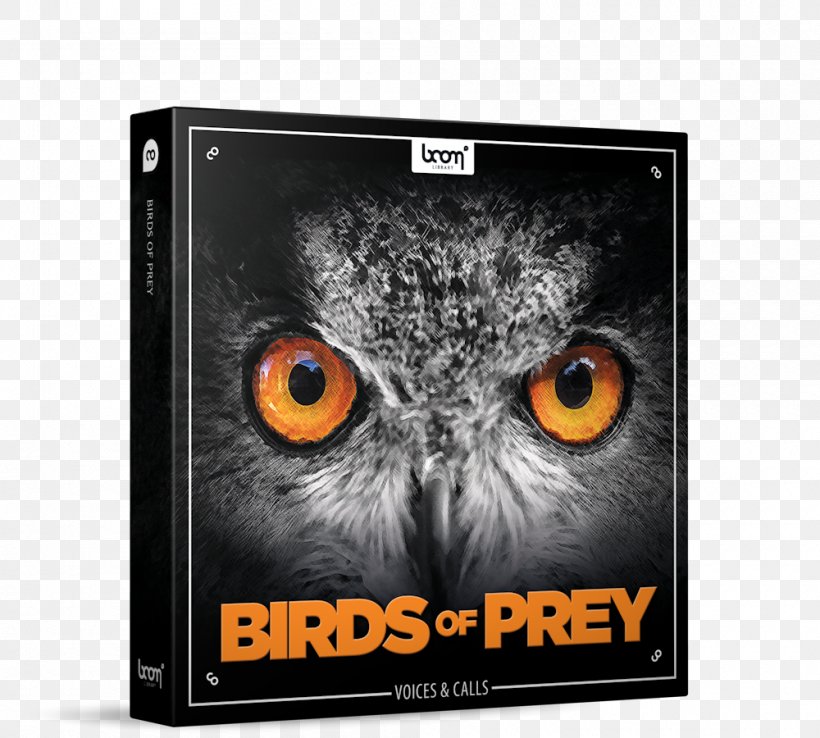 Bird Of Prey Owl Sound Effect, PNG, 1000x900px, Bird, Bird Of Prey, Brand, Buteoninae, Columbidae Download Free