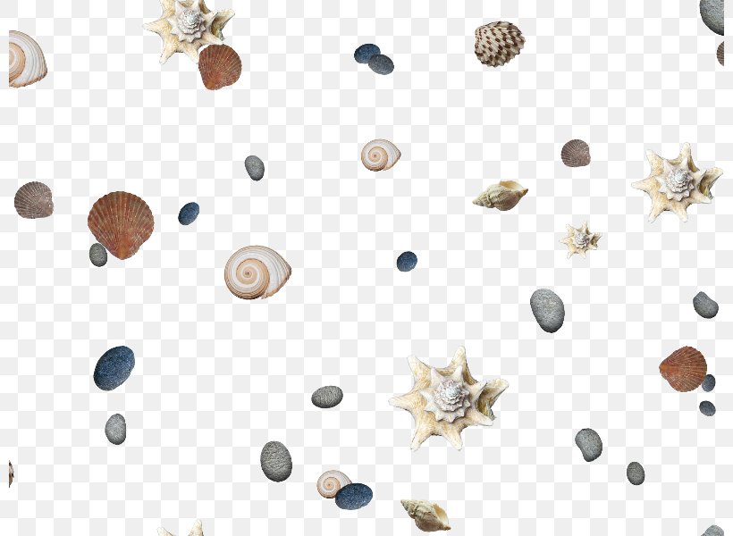 Clip Art Beach Image Sand, PNG, 800x600px, Beach, Dune, Organism, Sand, Shell Beach Download Free
