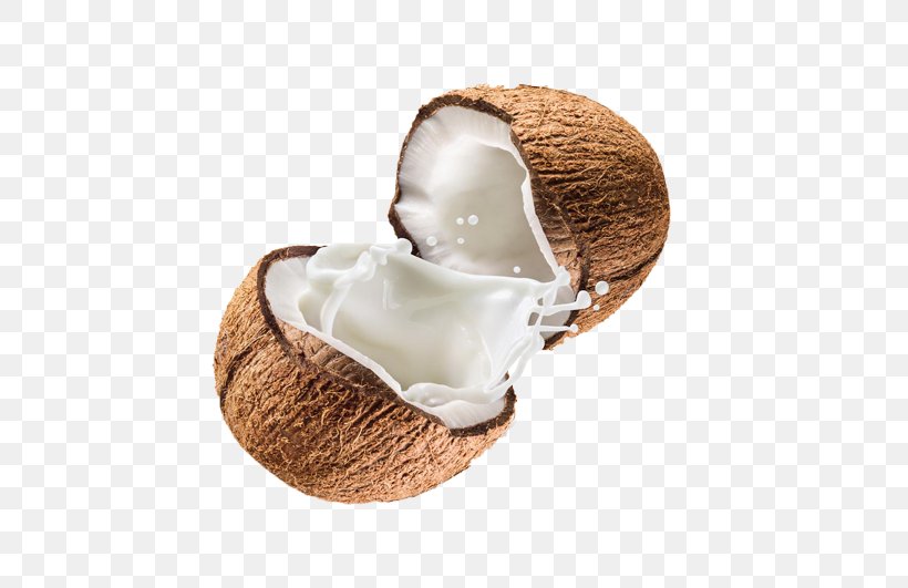 Coconut, PNG, 531x531px, Coconut, Coconut Cream, Food Download Free