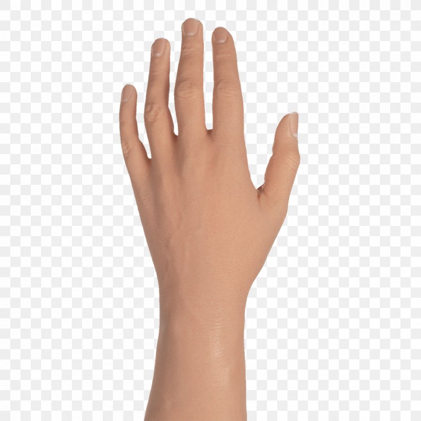 Finger Hand Skin Arm Gesture, PNG, 1200x1200px, Finger, Arm, Beige, Gesture, Hand Download Free