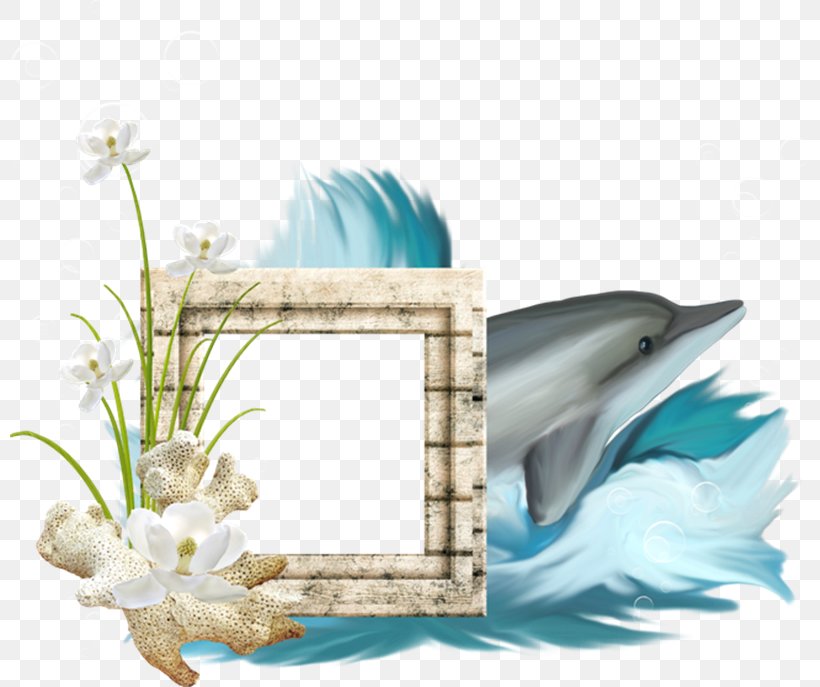 Picture Frames Desktop Wallpaper Beach Clip Art, PNG, 800x687px, Picture Frames, Beach, Bird, Feather, Film Frame Download Free