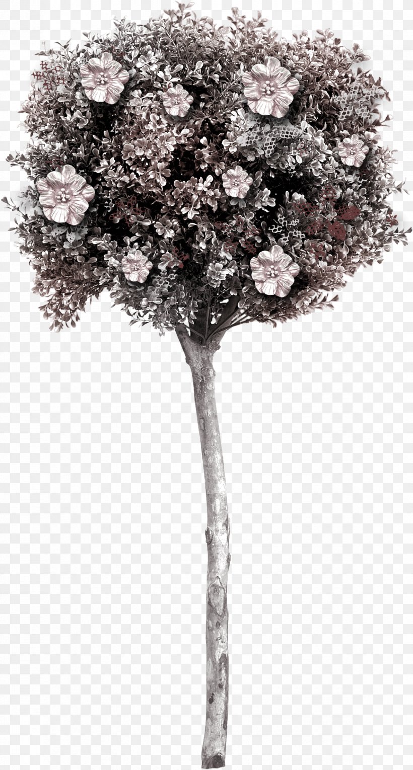 Tree, PNG, 1186x2214px, Tree, Black And White, Blossom, Branch, Computer Graphics Download Free