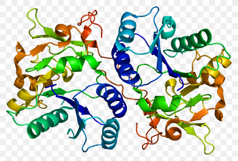 B3GAT1 Protein Glucuronosyltransferase Cluster Of Differentiation Antigen, PNG, 962x652px, Watercolor, Cartoon, Flower, Frame, Heart Download Free