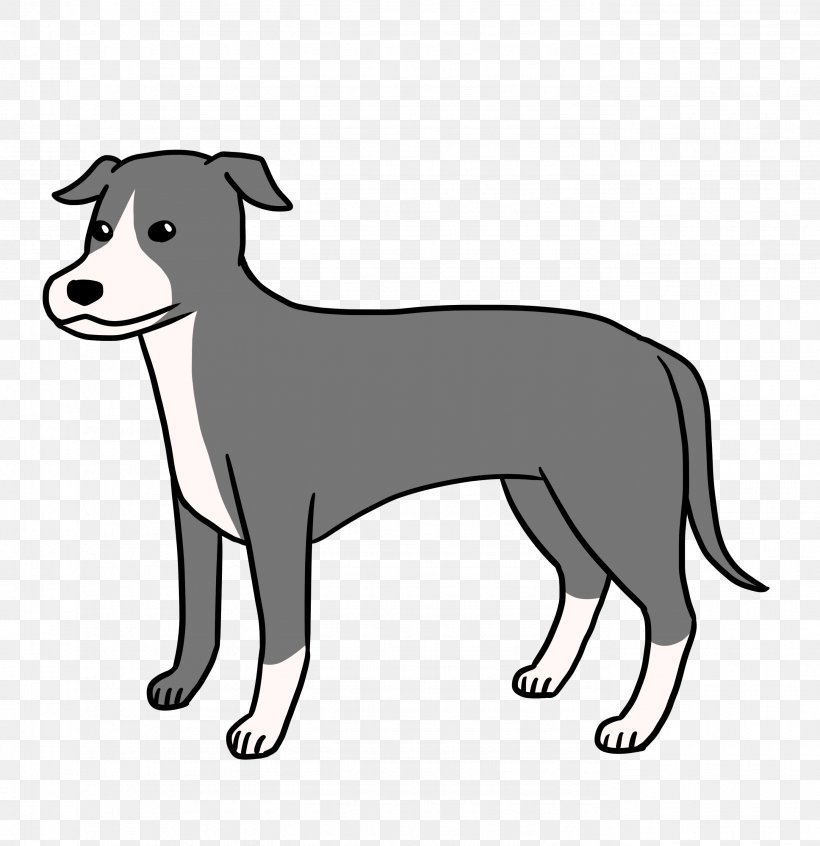 Dog Breed Italian Greyhound Puppy Companion Dog, PNG, 2756x2846px, Dog Breed, Black, Black And White, Breed, Carnivoran Download Free