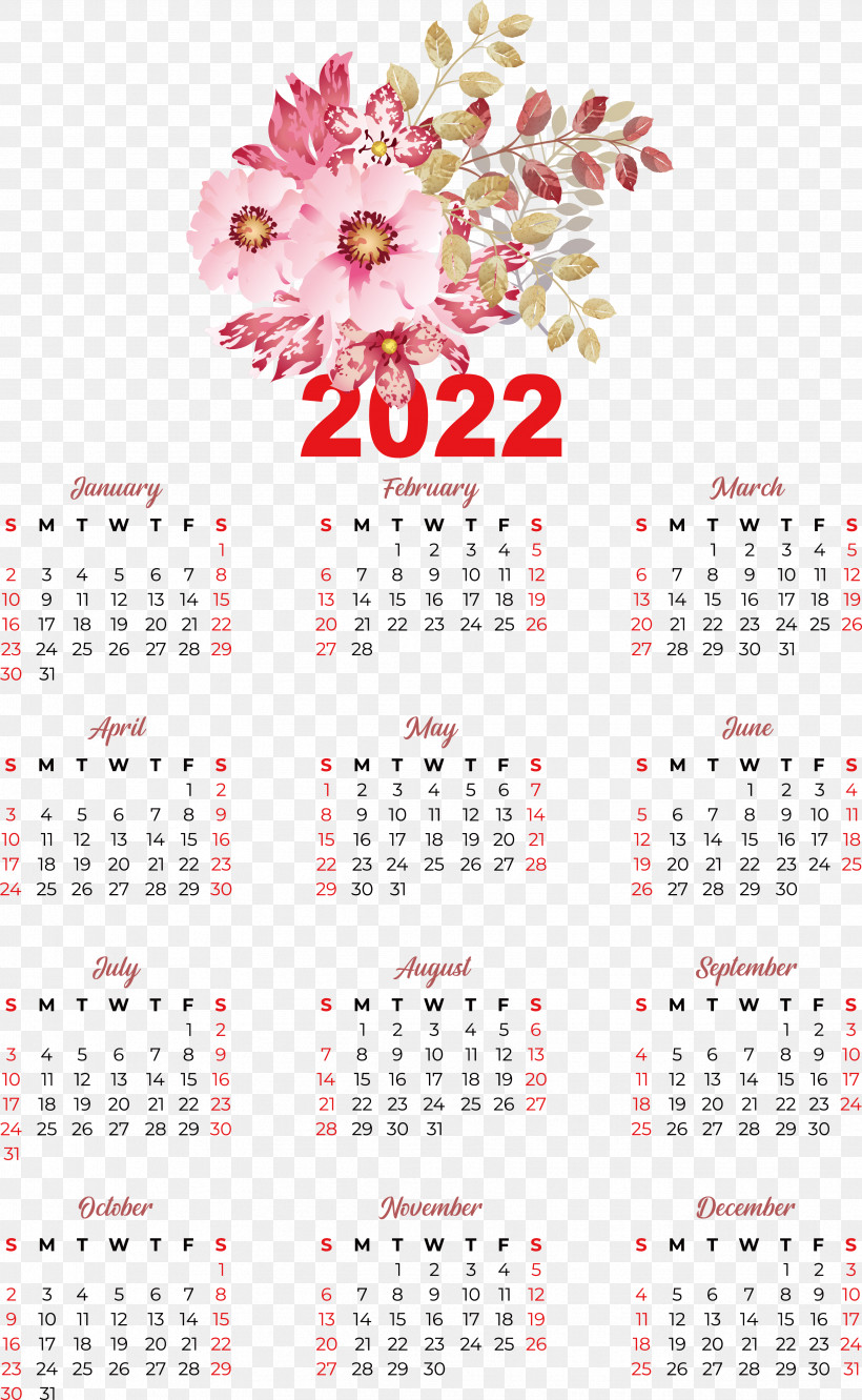 Flower Calendar Font Petal Meter, PNG, 3449x5601px, Flower, Biology, Calendar, Meter, Petal Download Free