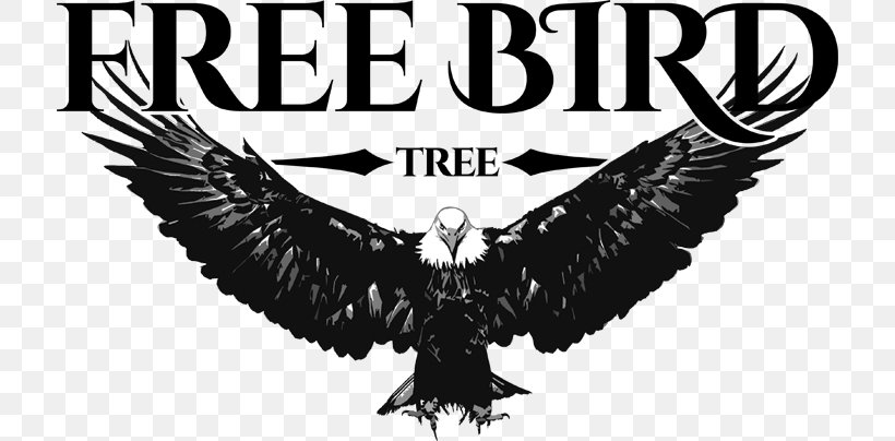 Free Bird Lynyrd Skynyrd Image FLANDRE FONCIERE Illustration, PNG, 716x404px, Free Bird, Beak, Bird, Bird Of Prey, Black And White Download Free