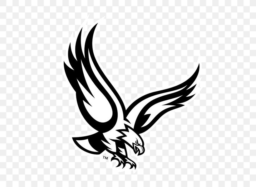 Bald Eagle Vector Graphics Clip Art Image, PNG, 800x600px, Bald Eagle, Beak, Bird, Bird Of Prey, Black And White Download Free