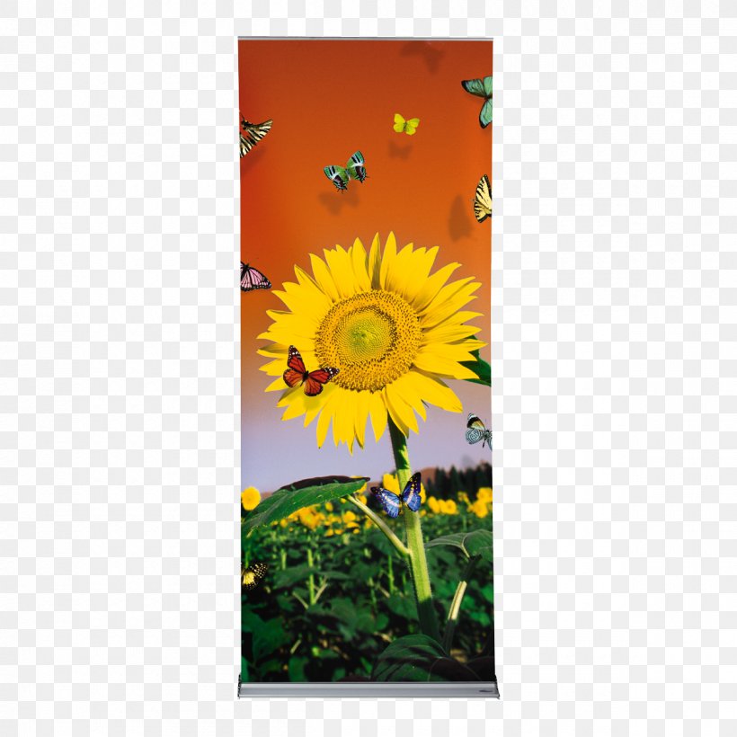 Banner Trade Show Display Printing Advertising, PNG, 1200x1200px, Banner, Advertising, Daisy Family, Display Stand, Flower Download Free