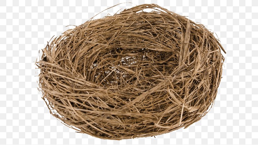 Bird Nest Straw NEST+m, PNG, 650x461px, Bird Nest, Bird, Chocolat, Nest, Nestm Download Free