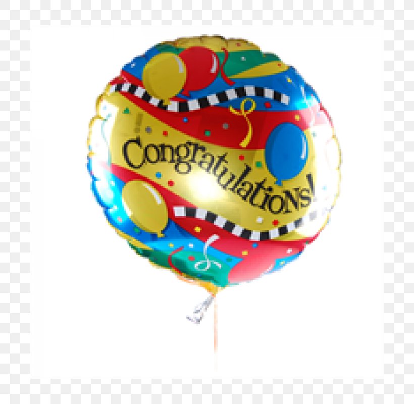 Gas Balloon Cattie Florist Flower Bouquet Birthday, PNG, 700x800px, Balloon, Anniversary, Bag, Birthday, Cut Flowers Download Free