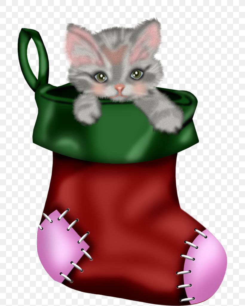 Green Cat Kitten Pink Small To Medium-sized Cats, PNG, 702x1024px, Green, Cat, Kitten, Pink, Small To Mediumsized Cats Download Free