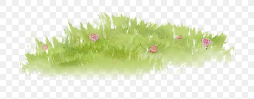 Green Grasses Line Aquarium, PNG, 800x322px, Green, Aquarium, Aquarium Decor, Grass, Grass Family Download Free