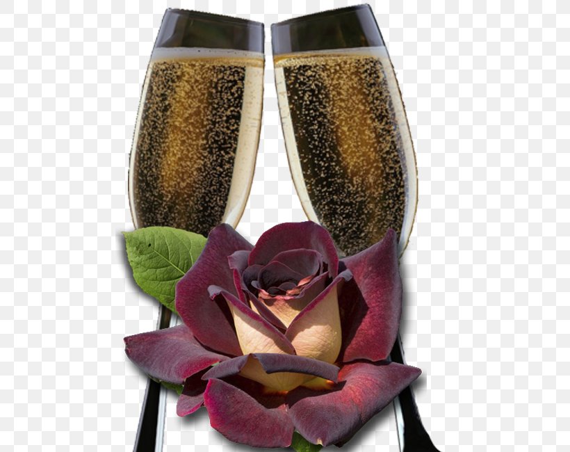 Hybrid Tea Rose Champagne Glass Garden Roses, PNG, 650x650px, Hybrid Tea Rose, Black Baccara, Black Rose, Champagne, Champagne Glass Download Free