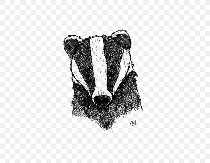 Badger Drawing /m/02csf Fur Font, PNG, 685x636px, Badger, Bear, Black, Black And White, Black M Download Free