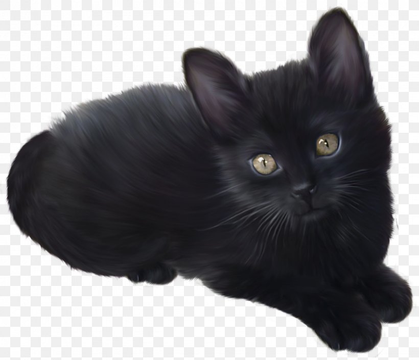 Munchkin Cat Persian Cat Kitten Clip Art, PNG, 1431x1231px, Persian Cat, Animal, Asian, Asian Semi Longhair, Black Download Free