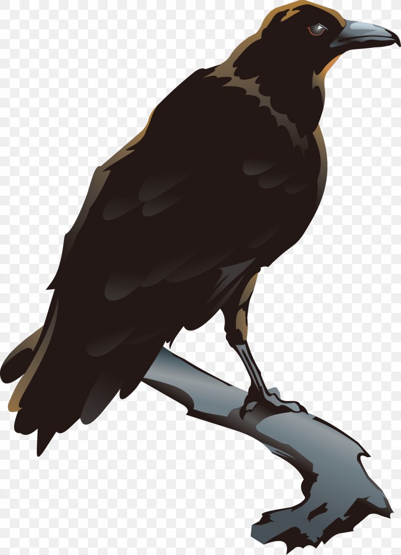 American Crow Bird Clip Art, PNG, 1591x2203px, American Crow, Beak, Bird, Crow, Crow Like Bird Download Free