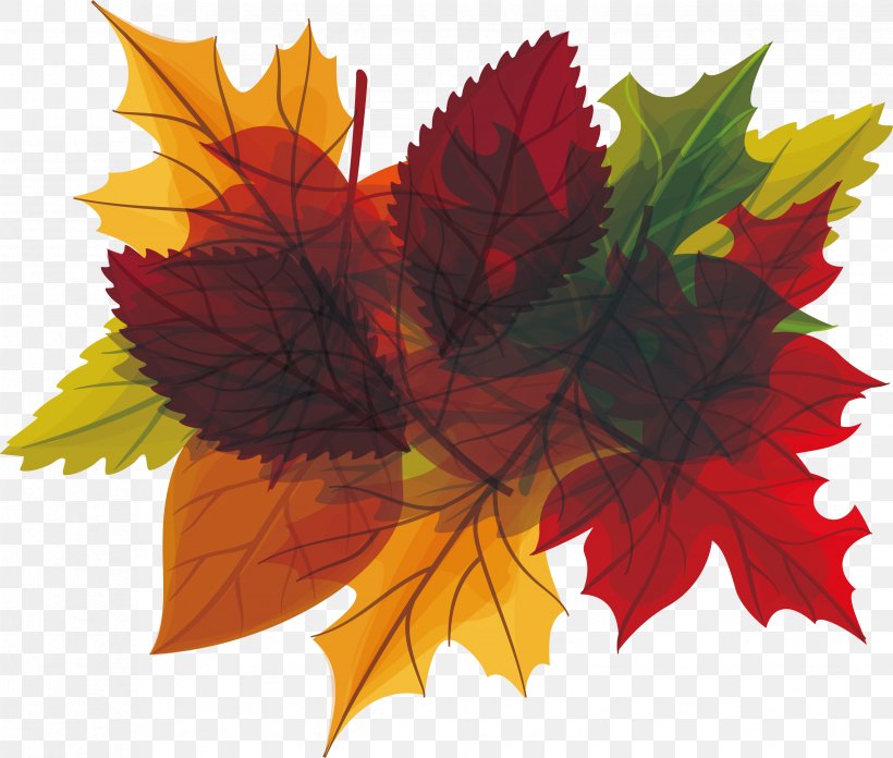 Autumn Leaf Euclidean Vector, PNG, 3307x2809px, Autumn, Autumn Leaf Color, Flower, Flowering Plant, Gratis Download Free