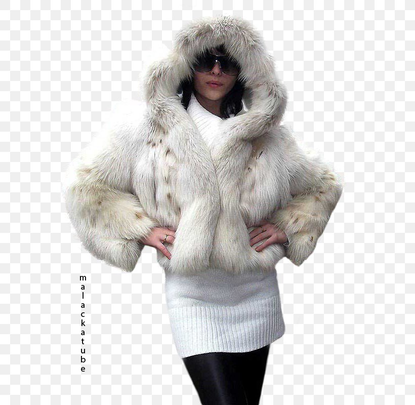 Fur Clothing Overcoat Wool Jacket, PNG, 640x800px, Fur, Animal Product, Clothing, Coat, Fashion Download Free