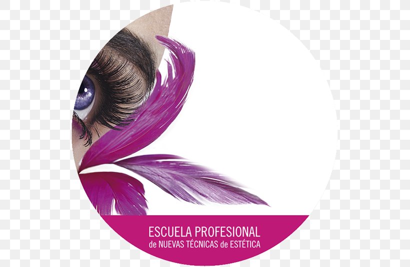 Sheir Bayan Kuaförü Beauty Parlour Desktop Wallpaper Cosmetics Eyelash Extensions, PNG, 535x535px, Beauty Parlour, Beauty, Cosmetics, Exfoliation, Eyelash Download Free