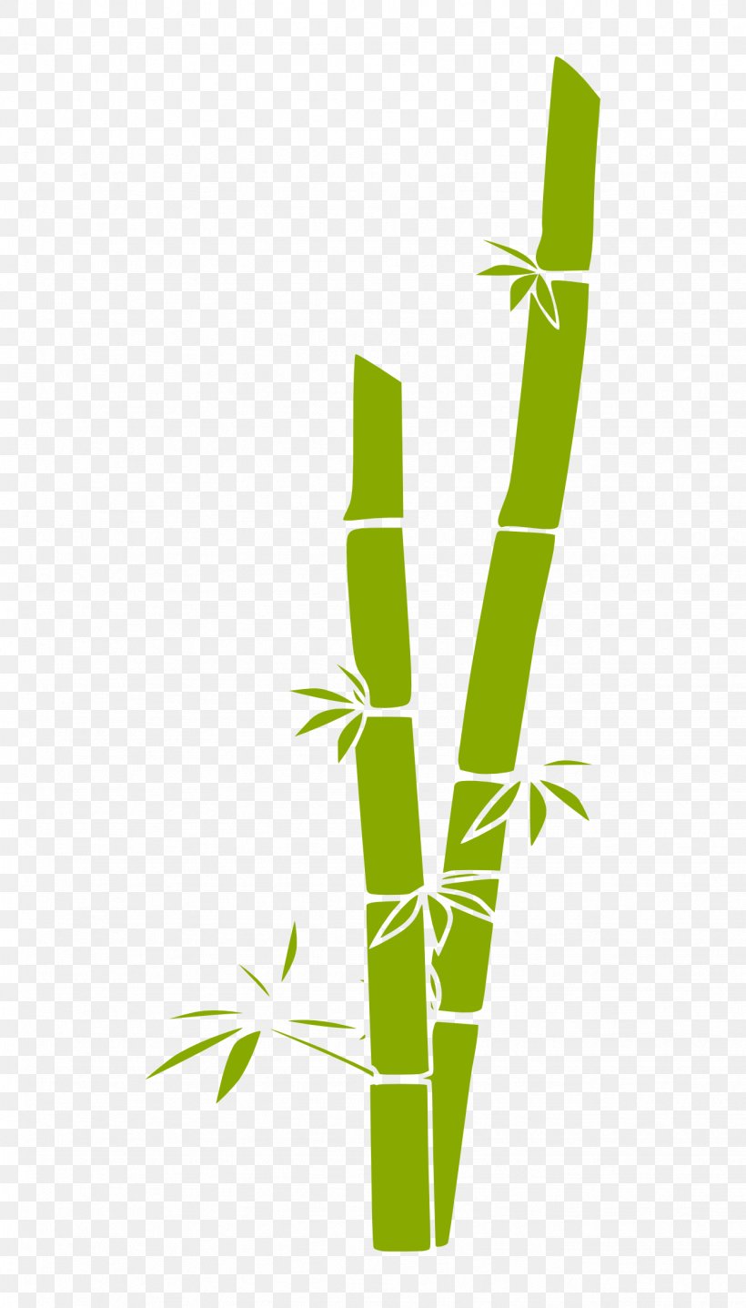 Bamboo Euclidean Vector Clip Art, PNG, 1331x2333px, Bamboo, Bamboe, Grass, Grass Family, Green Download Free