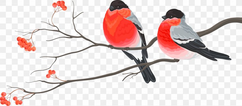 Bird Paper Christmas Card Christmas Decoration, PNG, 5451x2403px, Bird, Animal Figure, Artwork, Beak, Branch Download Free