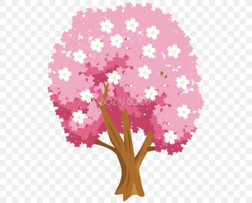 Cherry Blossom Floral Design Pink M, PNG, 660x660px, Cherry Blossom, Blossom, Cherry, Flora, Floral Design Download Free