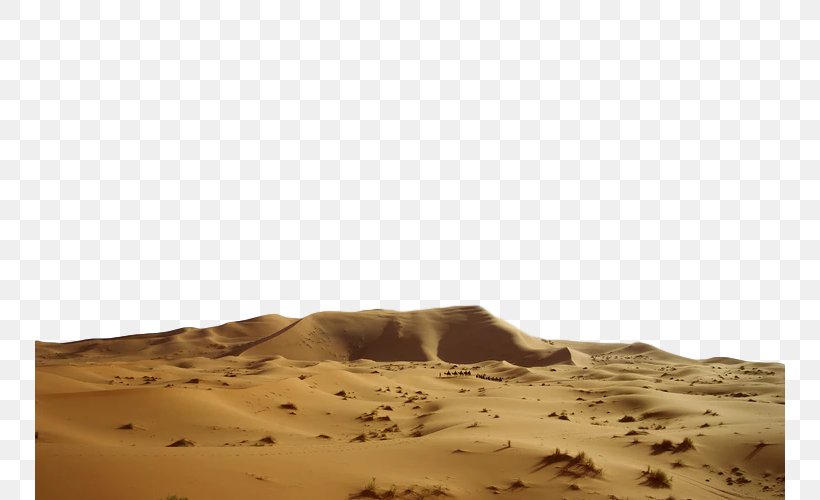 Desert Natural Environment Sand Aeolian Landform Erg, PNG, 750x500px, Desert, Aeolian Landform, Brown, Ecoregion, Erg Download Free